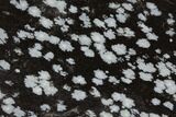Polished Snowflake Obsidian Section - Utah #114203-1